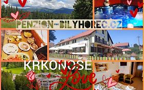 Pension Bily Horec